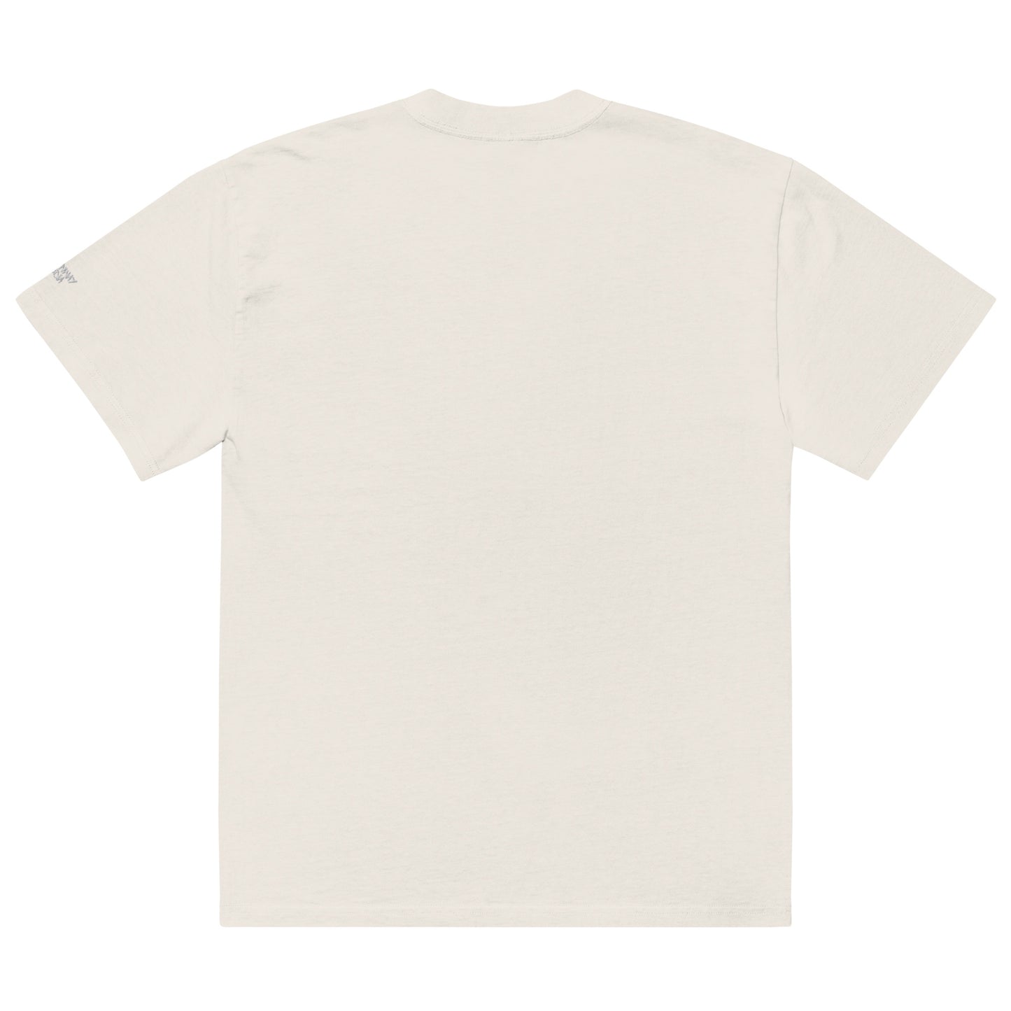 "DALYNWAY" oversized faded white thread t-shirt