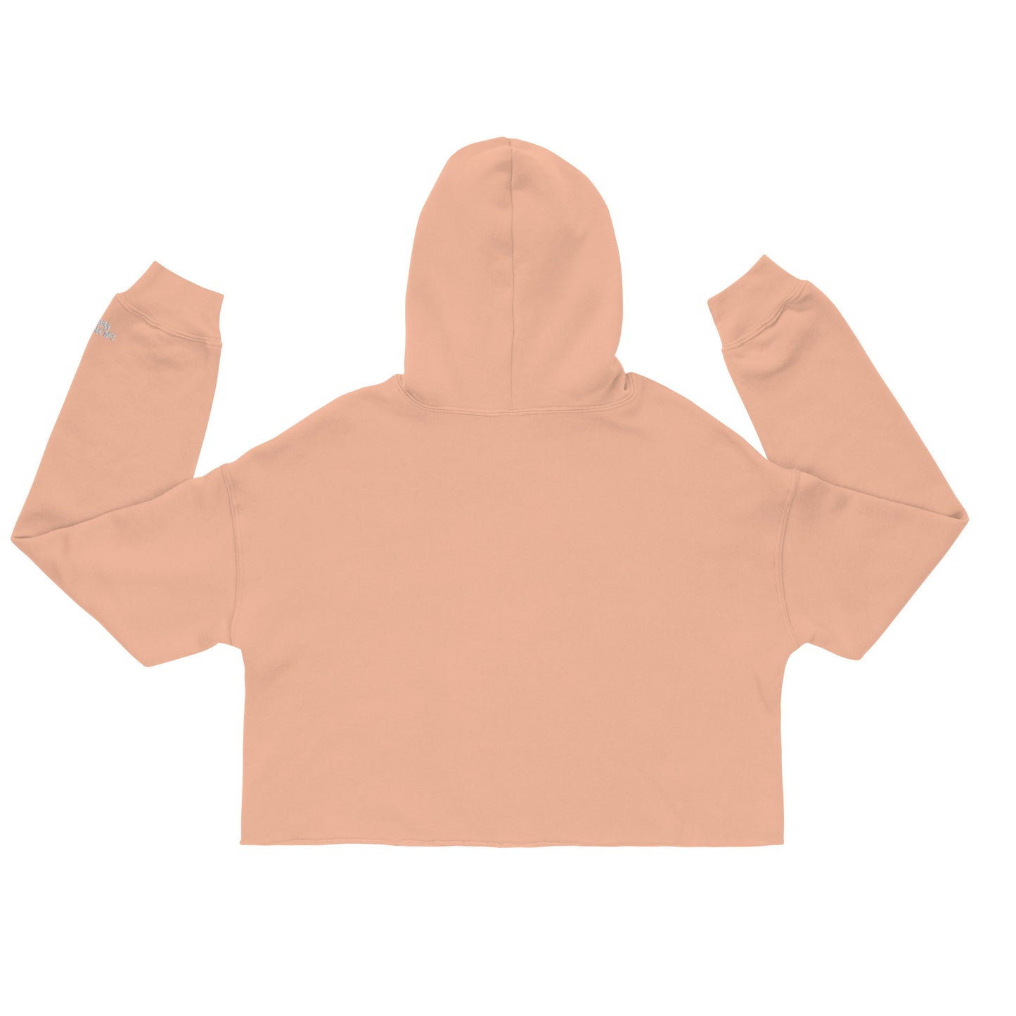 "DALYNWAY" embroidered cropped hoodie